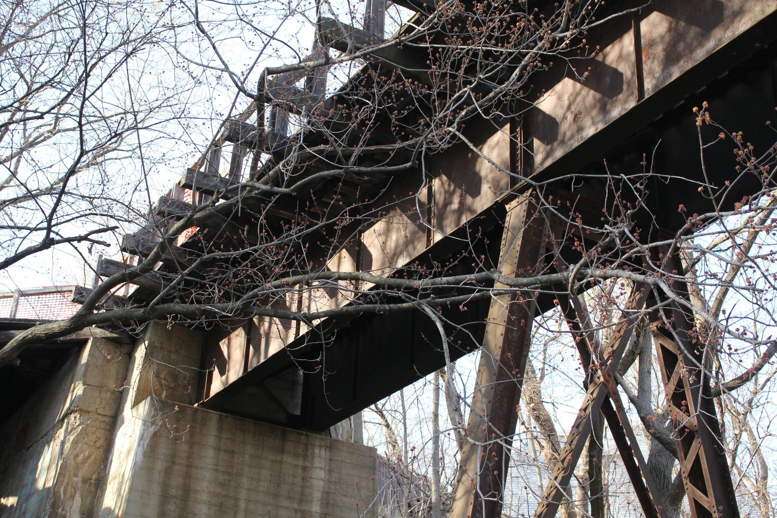 North span (span #5)